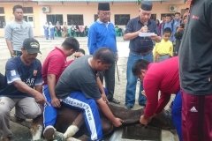 qurban03